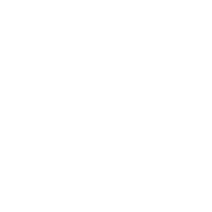 Icon - No Artificial Colors or Ingredients